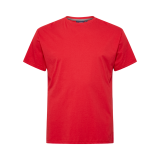 North Latitude / North Latitude Denim North Latitude t-shirt o-neck T-shirt 0300 Red